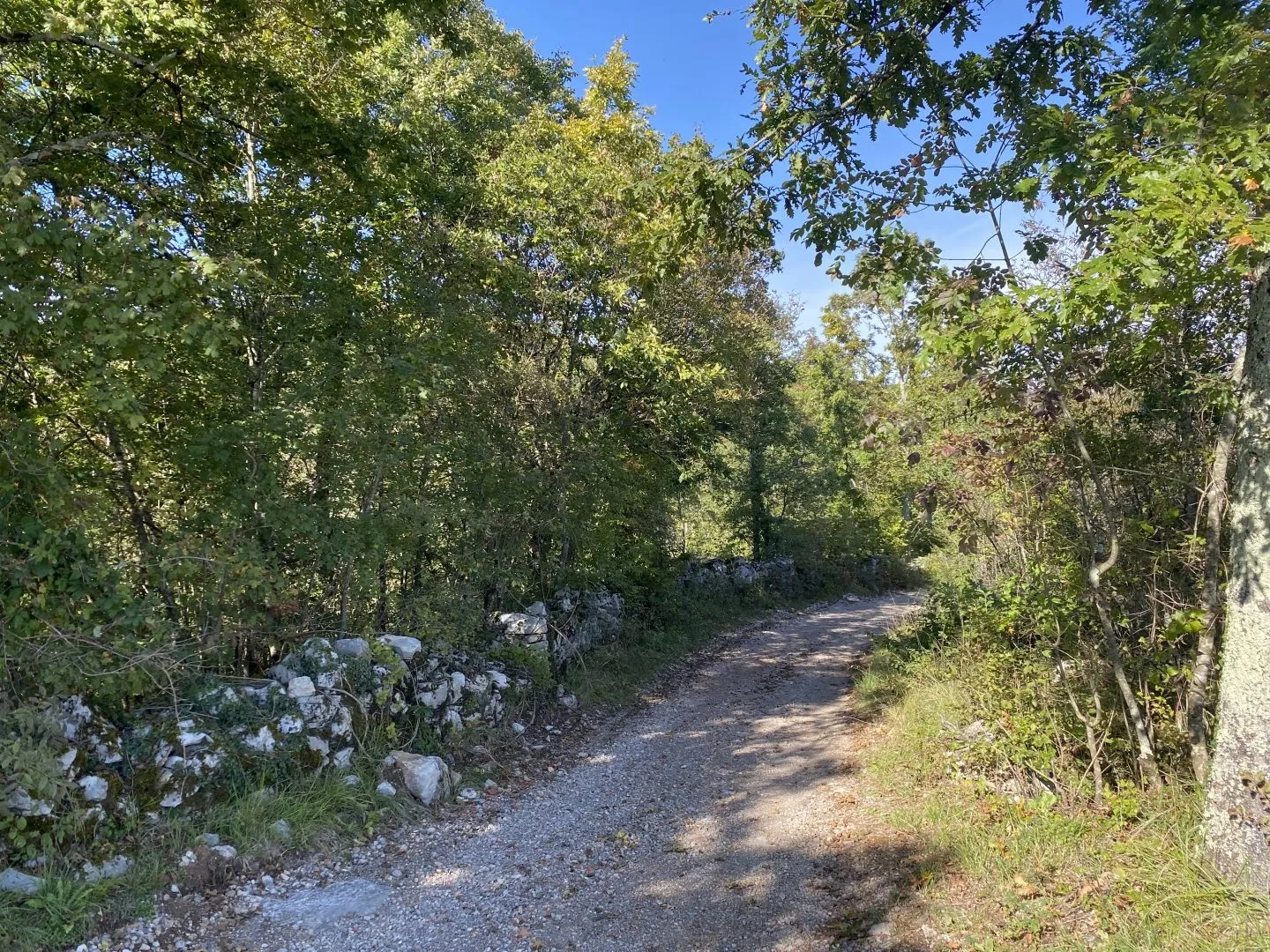 OPATIJA, BRGUD - ZEMLJIŠTE 4.348 m2 - Veli Brgud, Matulji