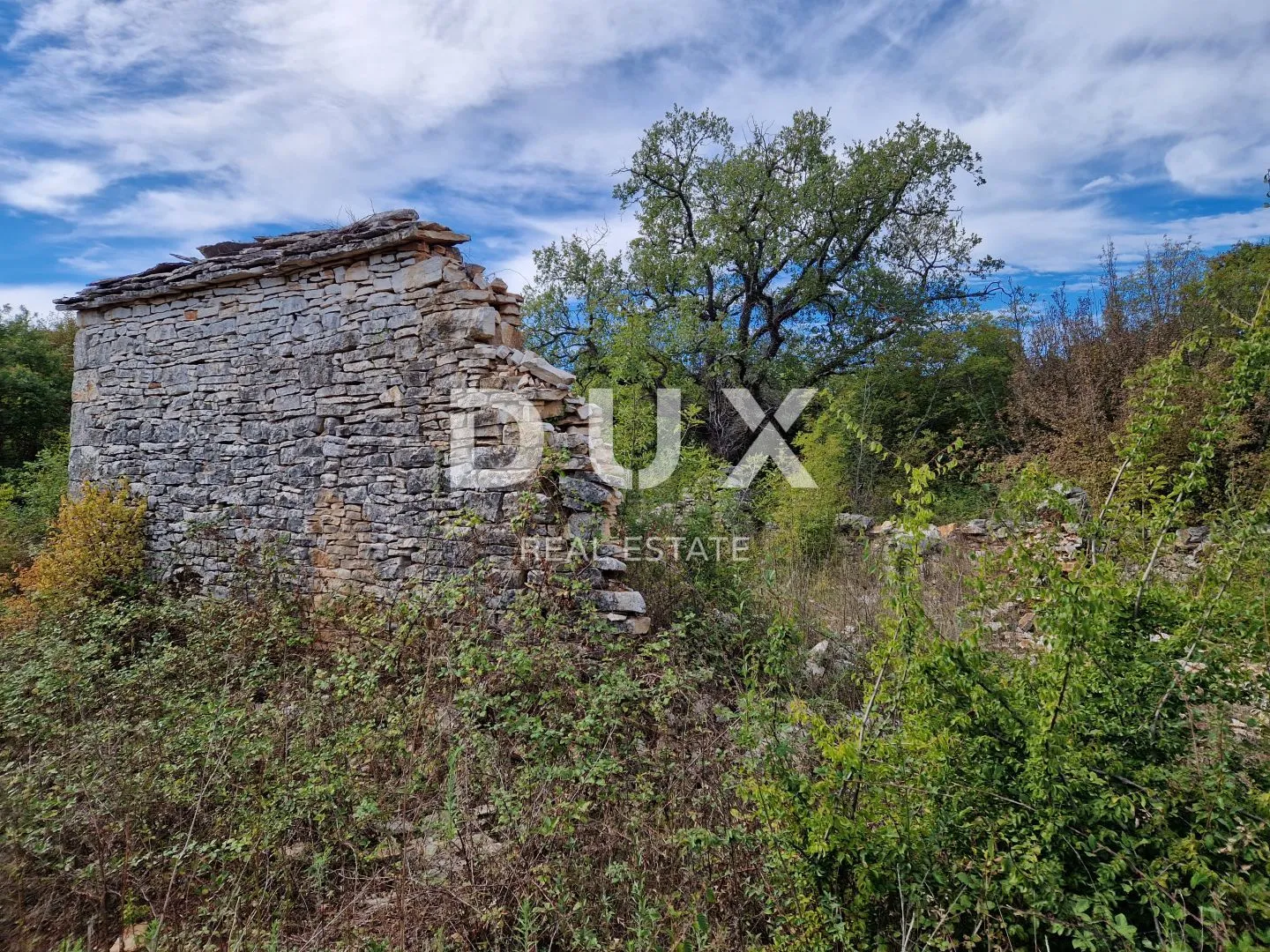 ISTRA, SVETVINČENAT - Ruševna kuća na okućnici od 2,1ha