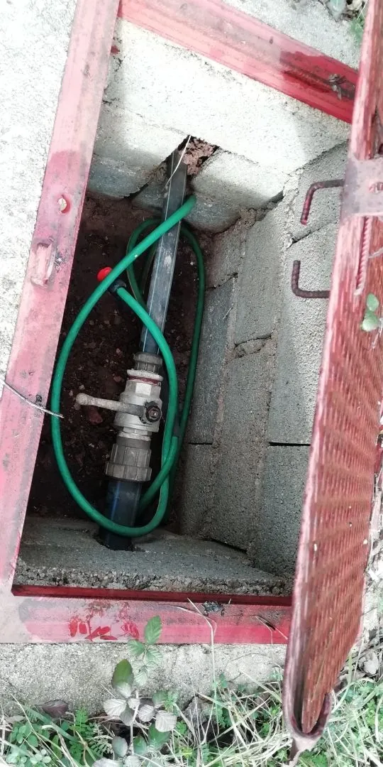 istra, limski kanal - maslinik sa 600 maslina - slika 3
