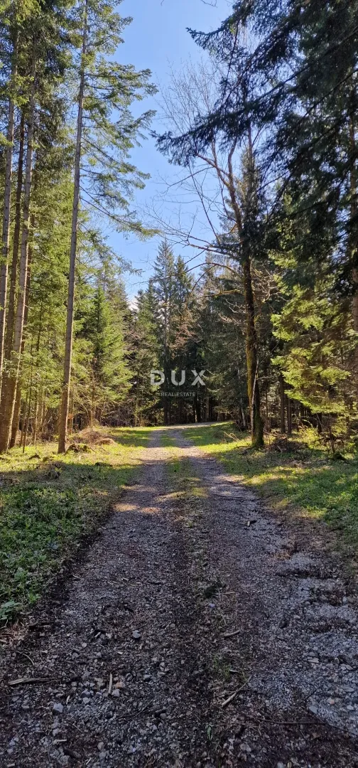 delnice, ravna gora - zemljišta ukupne površine 13400 m2 - slika 10