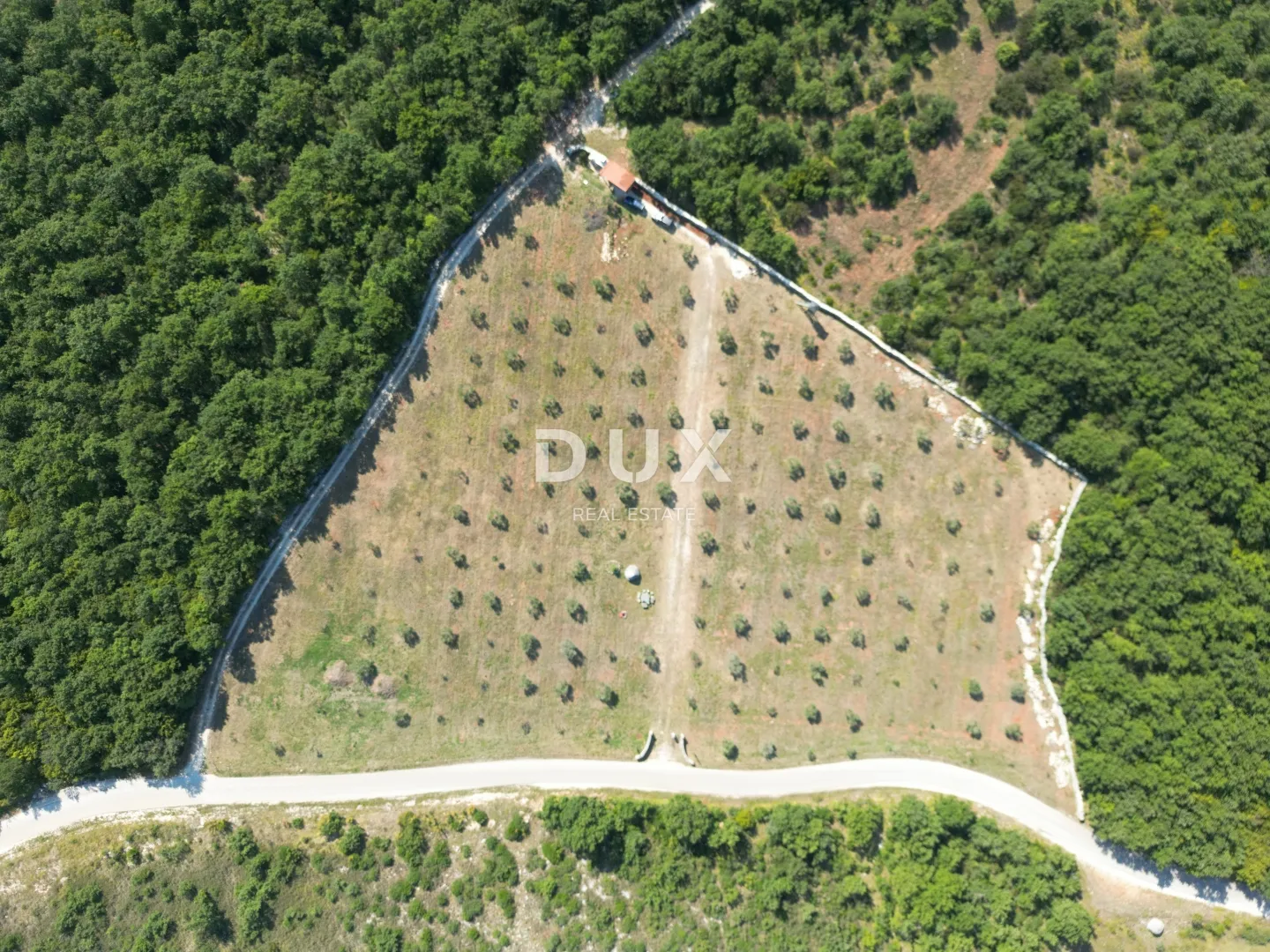 istra, vodnjan - autentičan maslinik s dušom - slika 2