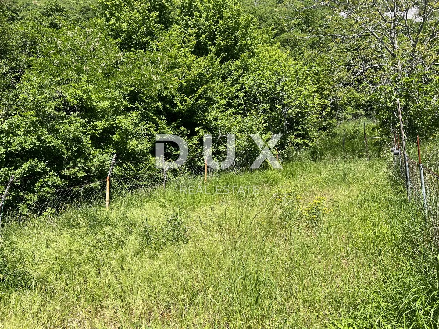 rijeka - stan površine 179 m2 s okućnicom od 550 m2 - slika 7