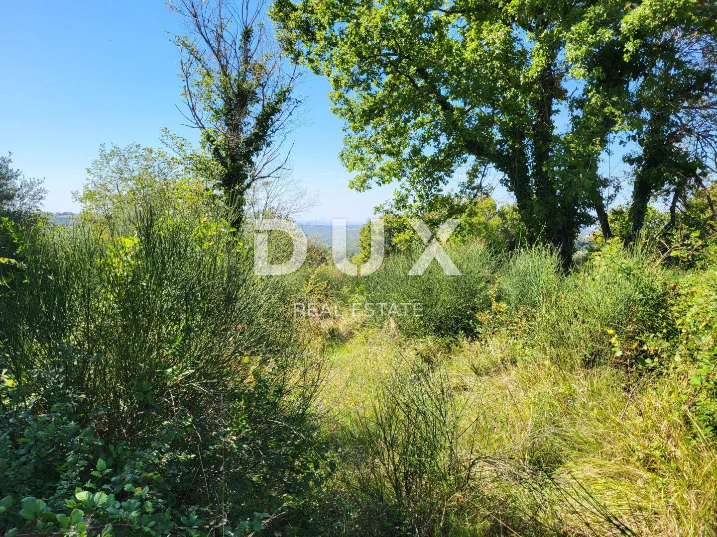 ISTRA, GROŽNJAN - Zemljište s prekrasnim pogledom
