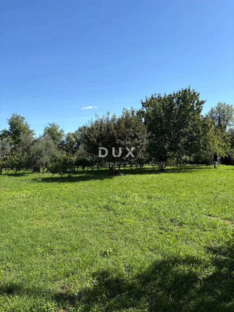 istra, brtonigla, kuća, 181 m², 2.461 m² okućnice - slika 19