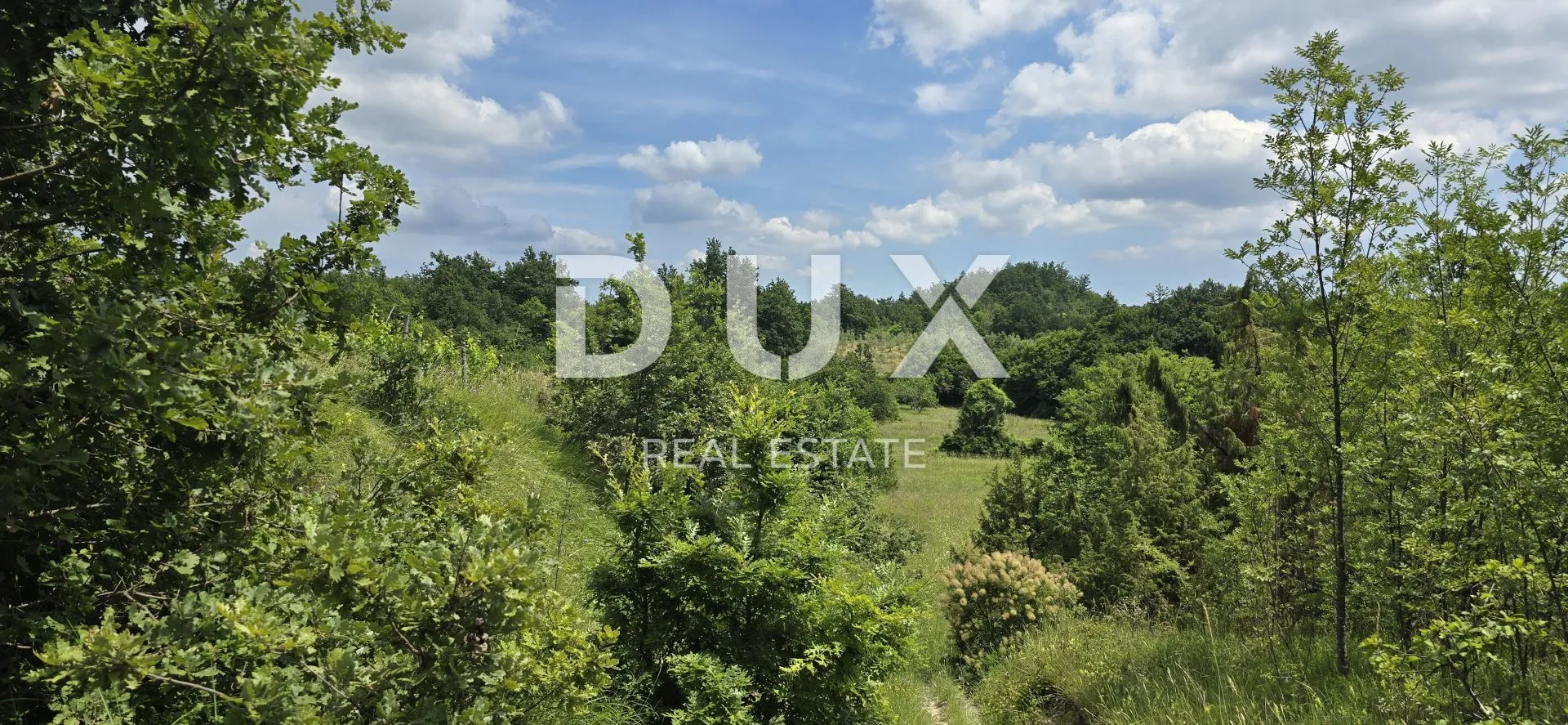 istra, pićan - predivna livada površine 5938 m2 - slika 9