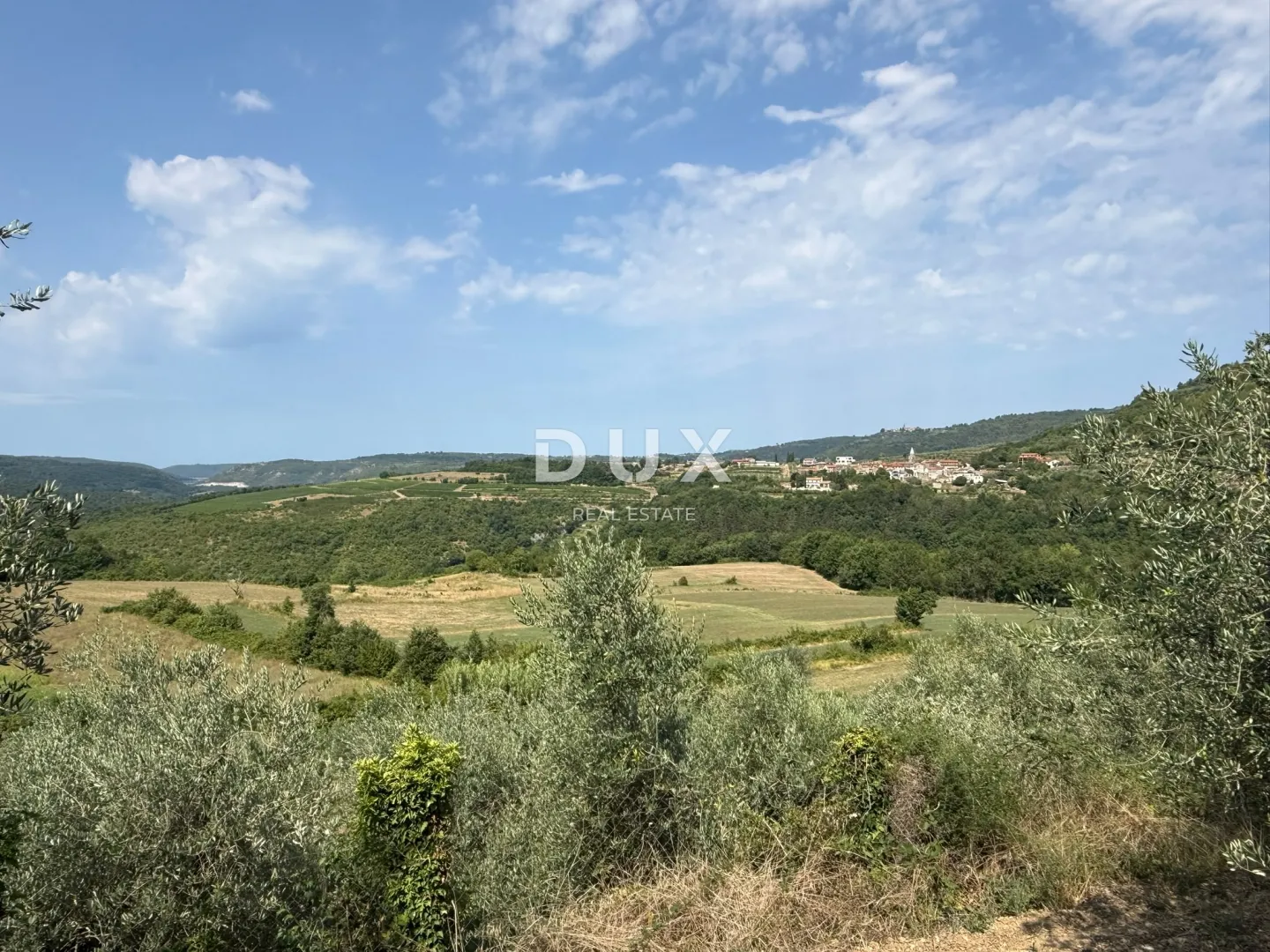 istra, grožnjan - građevinsko zemljište s predivnim pogledom i maslinama - slika 2