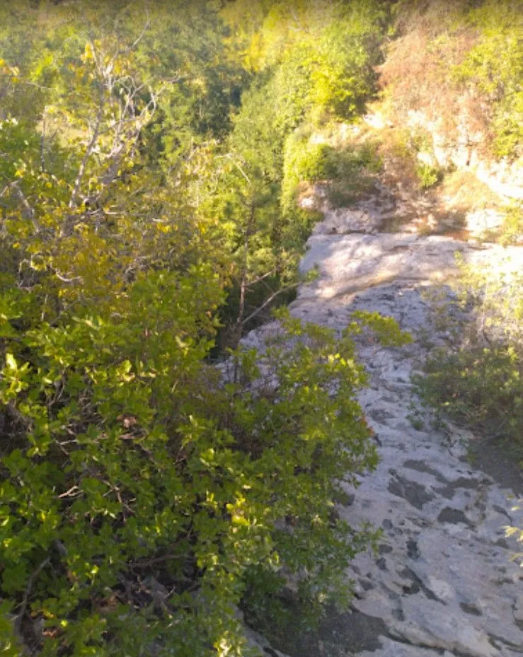 istra, butoniga - prostrano poljoprivredno zemljište - slika 4