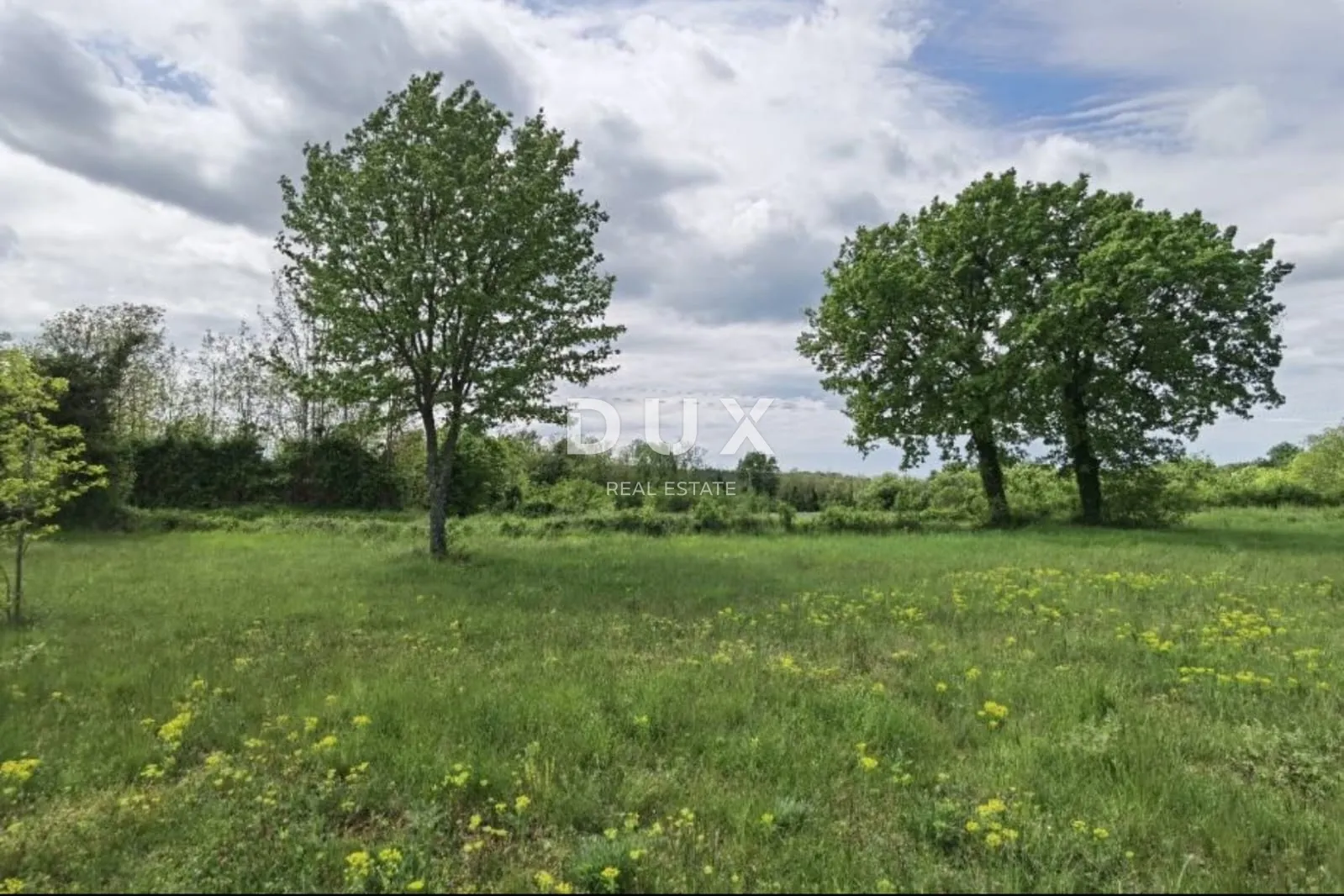 istra, višnjan - vrhunska investicijska prilika - slika 3