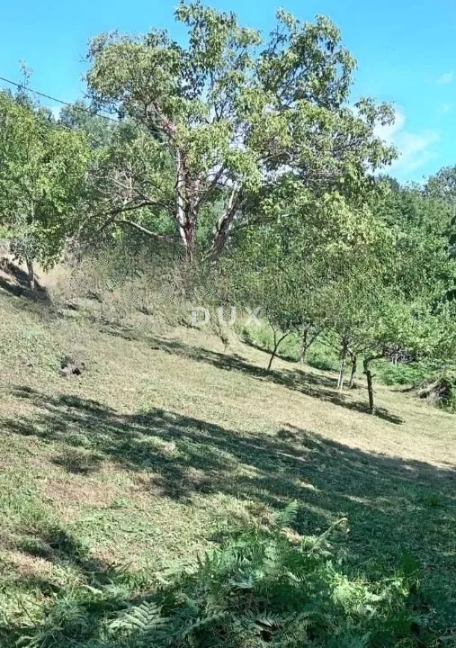 gorski kotar, skrad - kuća s većom okućnicom - slika 7