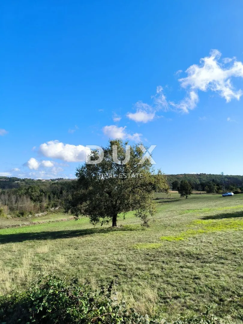 ISTRA, TINJAN - Kombinacija građevinskog i poljoprivednog terena!