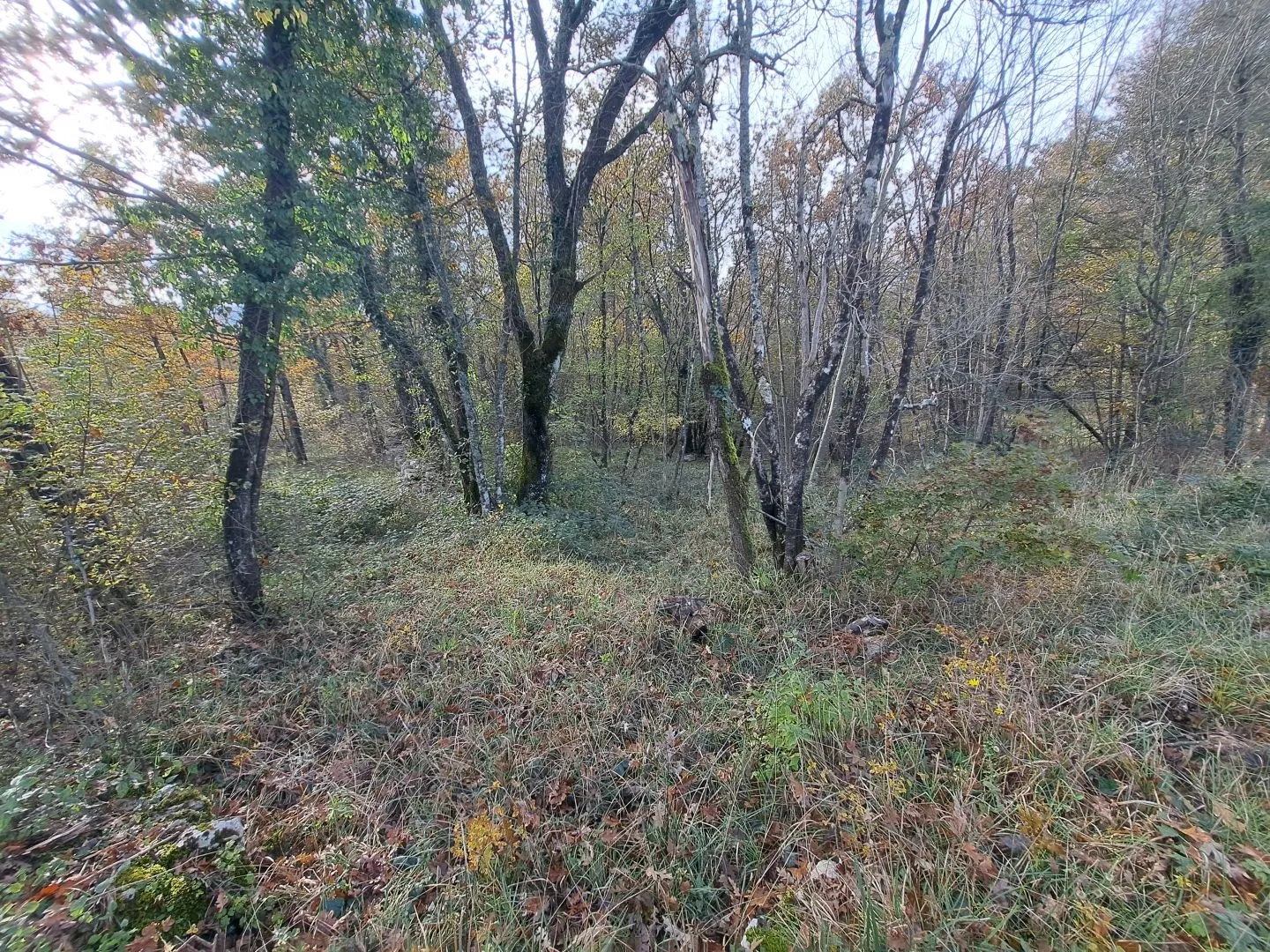 opatija, permani - poljoprivredno zemljište, 5100 m2 - slika 2