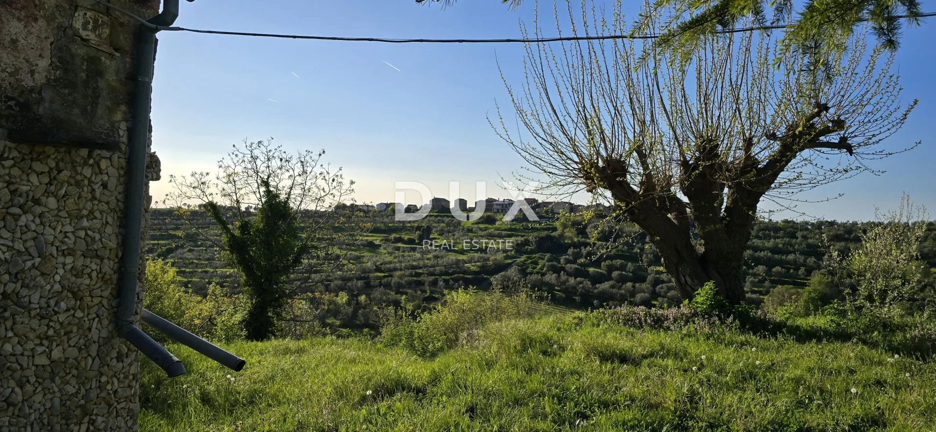 istra, momjan – povijesna kamena kuća s projektom preuređenja - slika 2