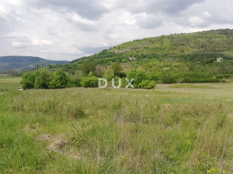 istra, motovun, zemljište, 53 183 m2, mještovite namjene - slika 12