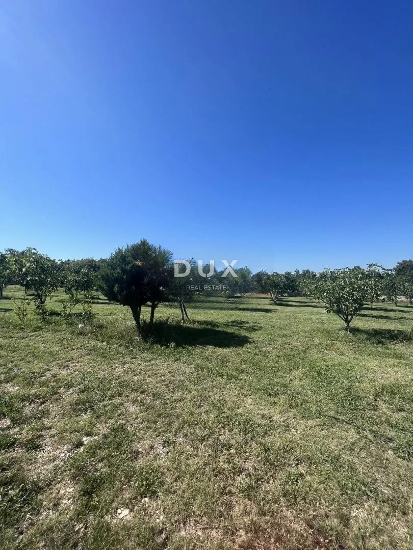 istra,rakalj - građevinsko zemljište na odličnoj lokaciji - slika 2