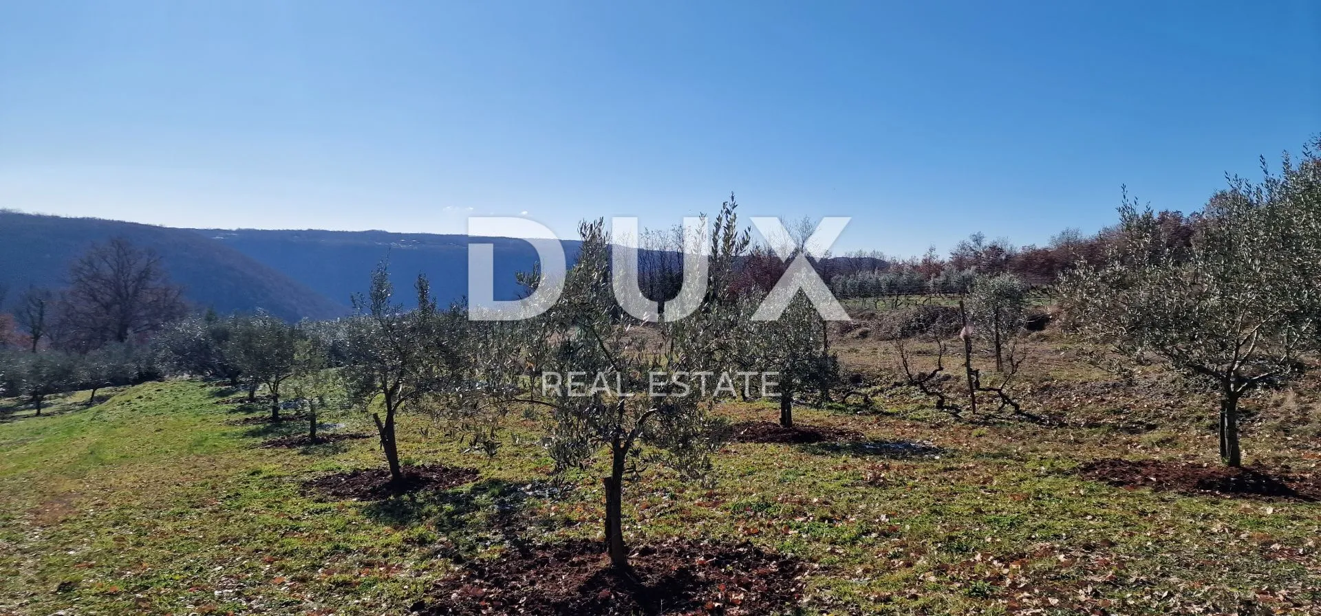 istra, labin, pićan - potpuna osama i prekrasan pogled!! građevinsko zemljište 750m2 i poljoprivredno 692 m2 - slika 47