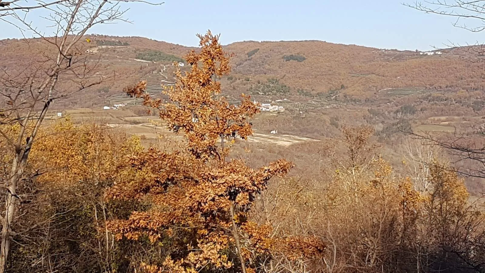 istra, vižinada - prostrano građevinsko zemljište na osami s panoramskim pogledom - slika 34