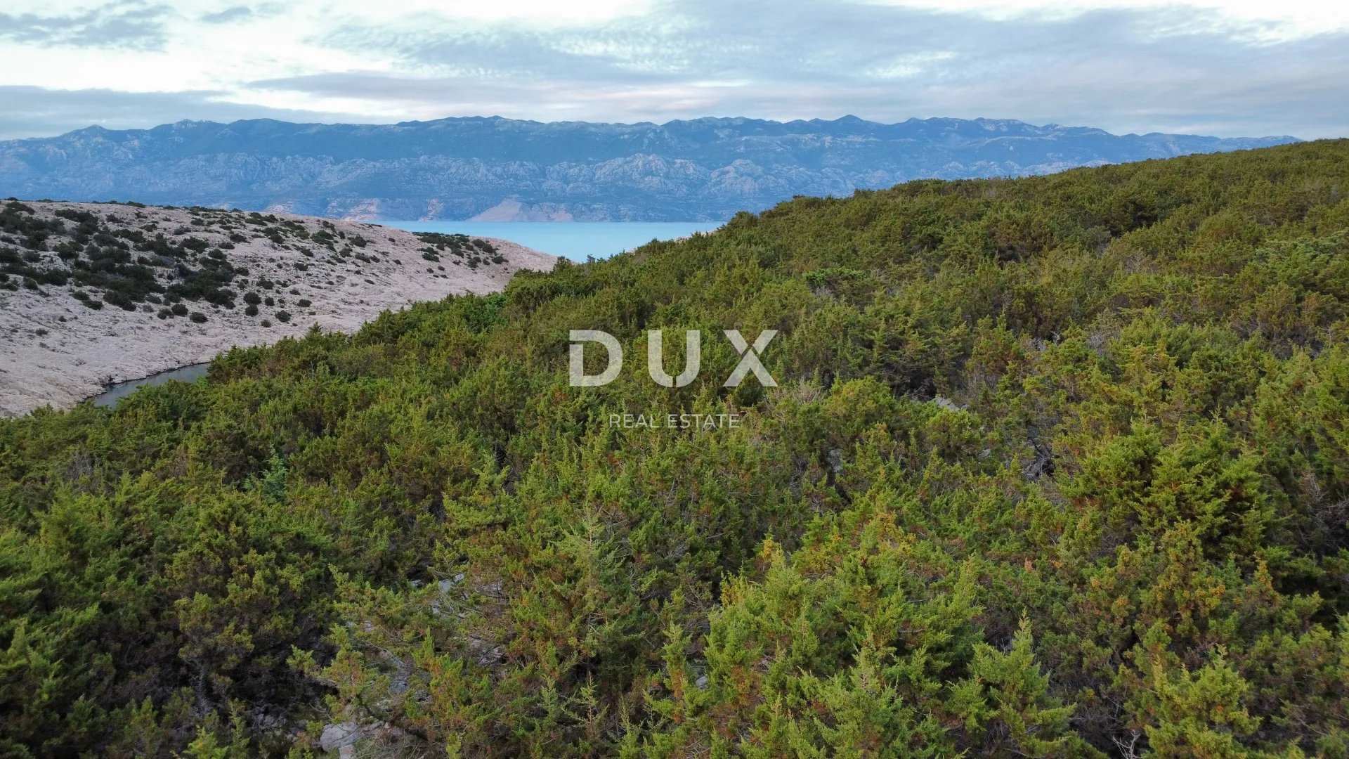 otok pag, dabovi stani - zemljište 66500 m2 - slika 9