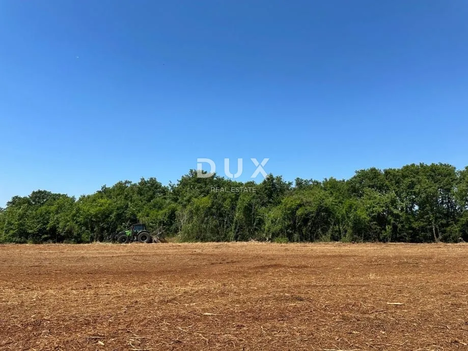 pula, muntić, poljoprivredno zemljište, 10.096 m² - slika 3
