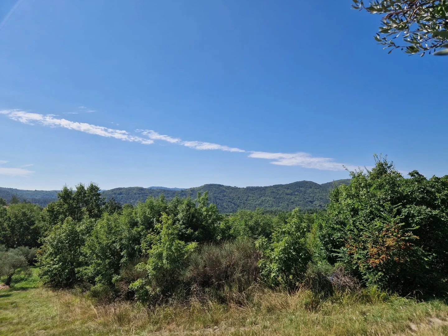 istra, sovinjak - poljoprivredno zemljište pogodno za maslinarstvo - slika 5