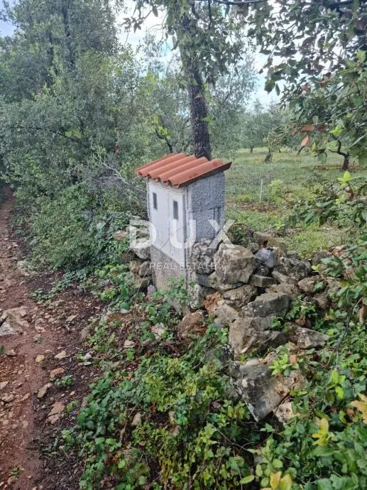 istra, kavran - vikend zemljišta 4067m2! - slika 4