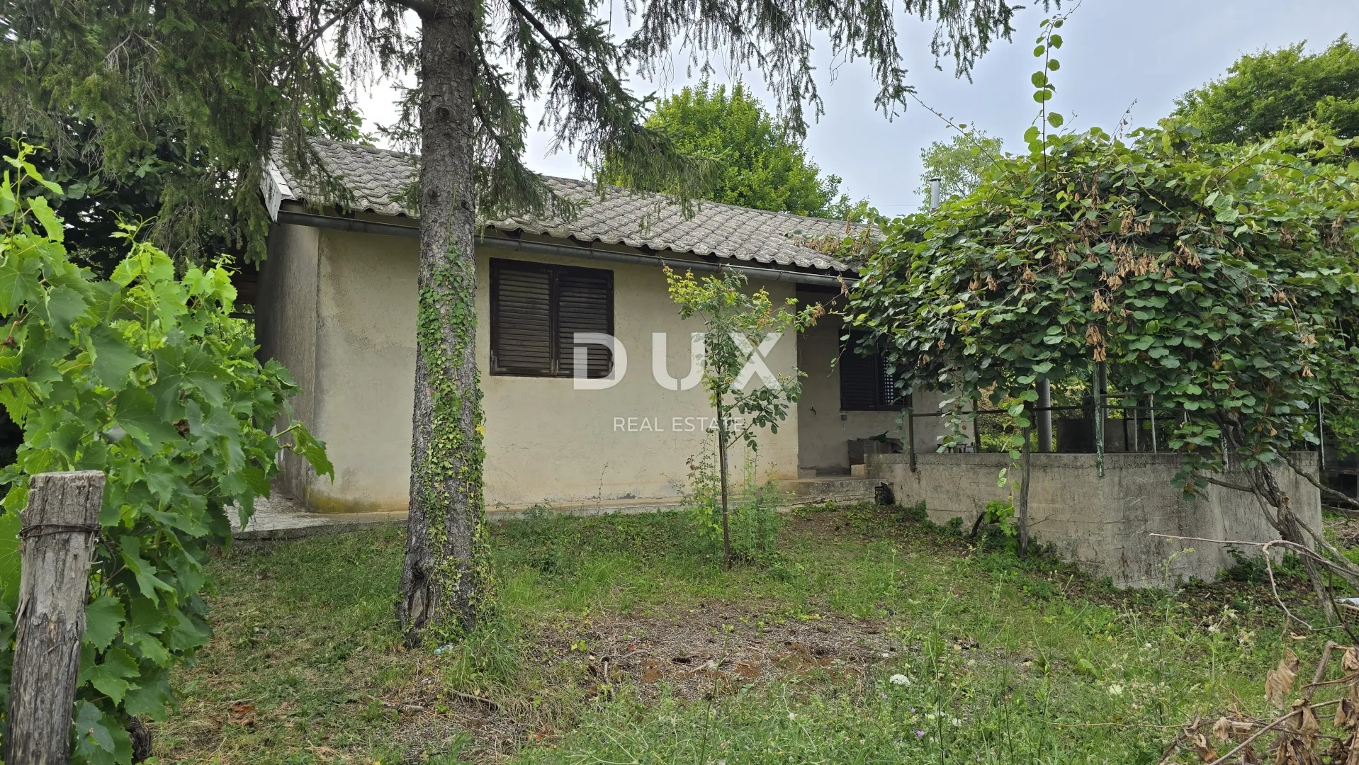 istra, labin – kućica u prirodi, potpuna osama s velikom okućnicom - slika 2