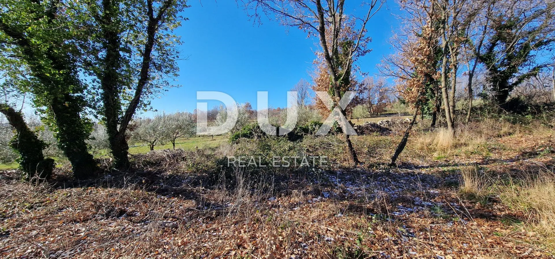 istra, labin, pićan - potpuna osama i prekrasan pogled!! građevinsko zemljište 750m2 i poljoprivredno 692 m2 - slika 21