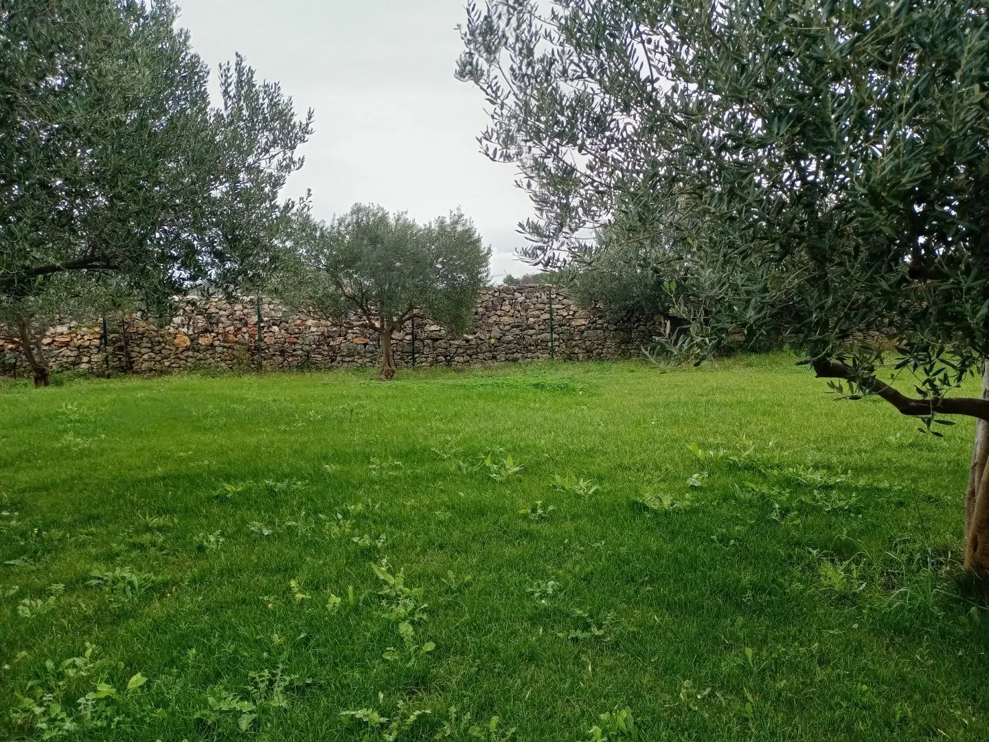 šibenik, zaton - prostrano imanje s objektom i građevinskom dozvolom - slika 5