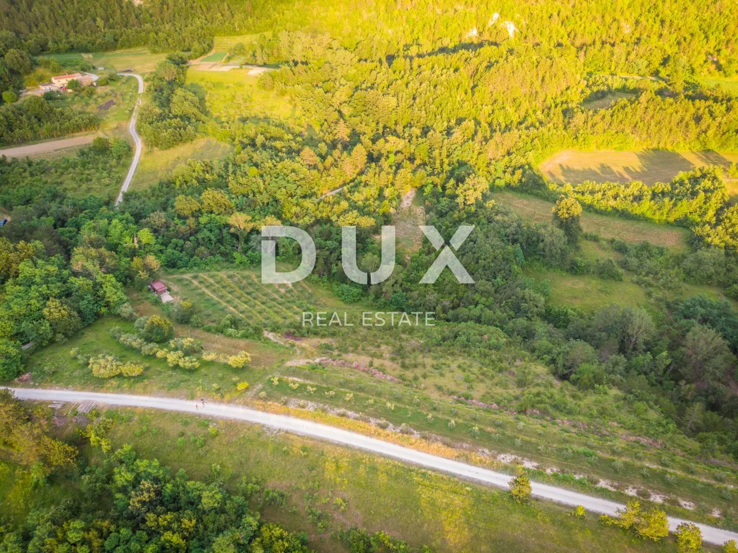 istra, cerovlje, grimalda – maslinik među brežuljcima, 280 stabala na 2,4 ha - slika 8