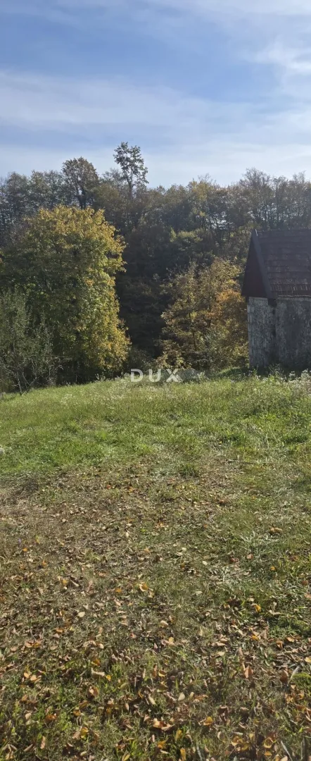 ogulin, tounj- kuća 200m2 odmah do rijeke + pomoćni objekt 150m2 + okoliš 3500m2 - slika 10