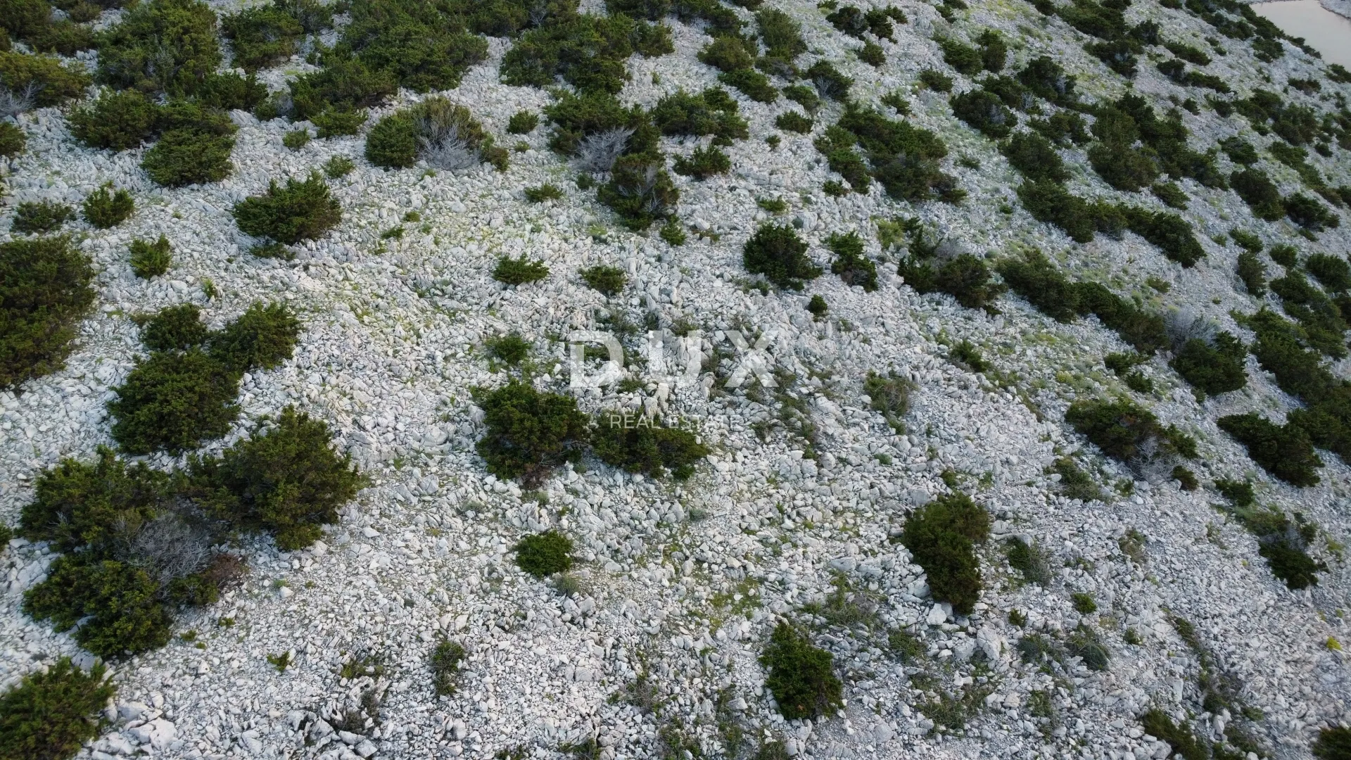 otok pag, dabovi stani - zemljište 66500 m2 - slika 8
