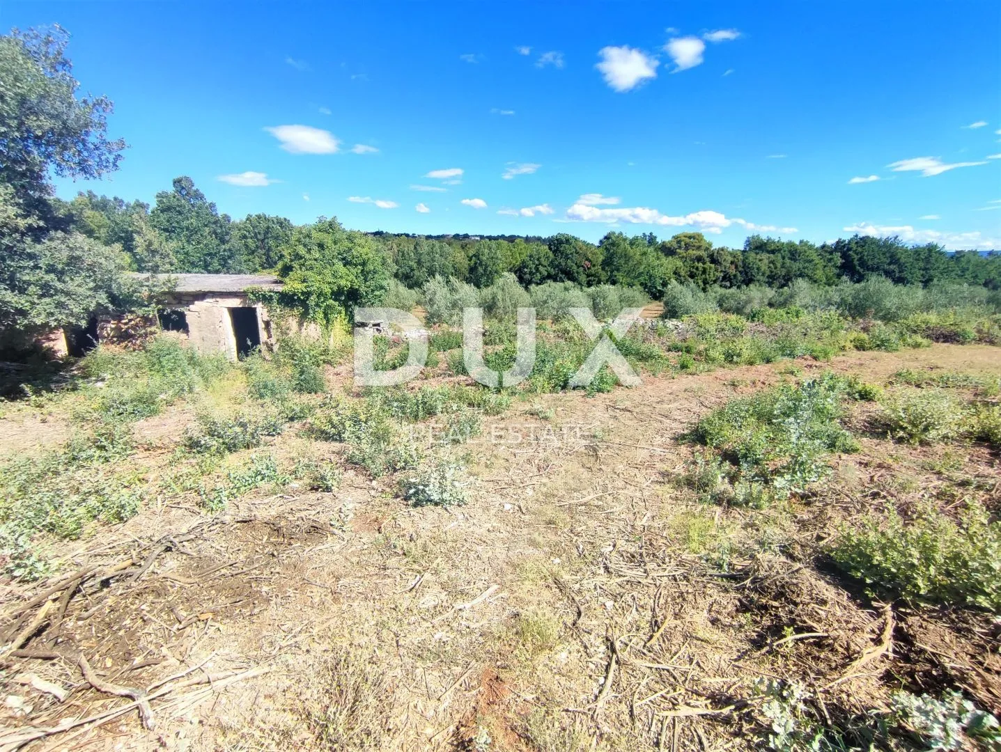 istra, peruški - poljoprivredno zemljište 2118 m2 - slika 3