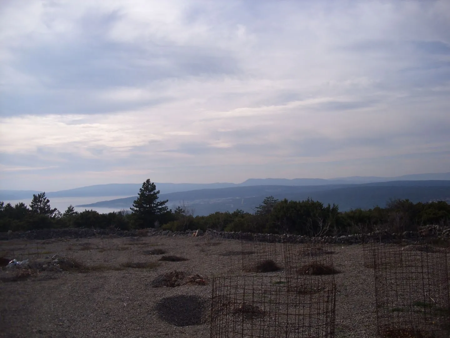 otok krk, punat - maslinik na 3620 m2 - slika 2