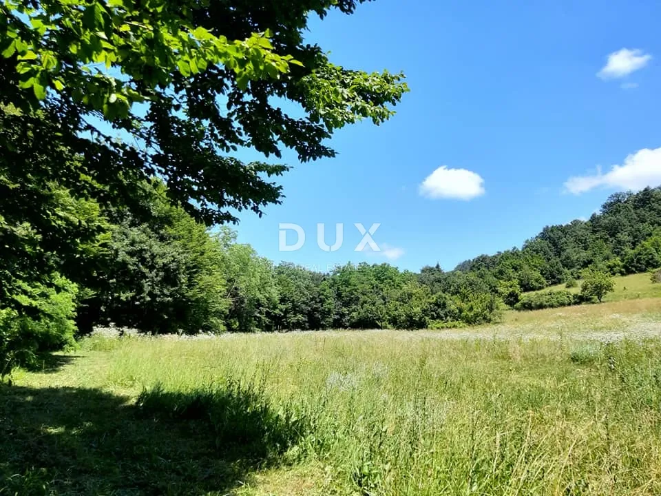 istra, pazin - imanje s potencijalom na osami - slika 2