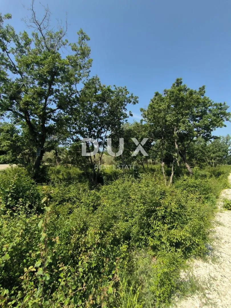 ISTRA, PEROJ Vikend zemljište 2 km od mora! - Peroj, Vodnjan