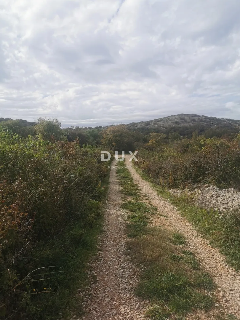 otok krk, punat - poljoprivredno zemljište - slika 7