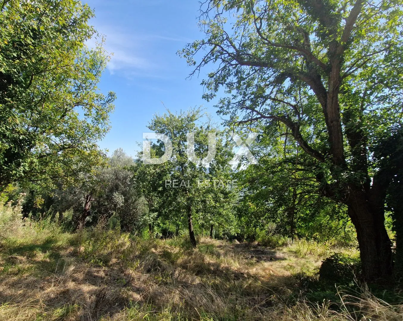 istra, oprtalj - kamena starina s panoramskim pogledom na zelenilo - slika 27