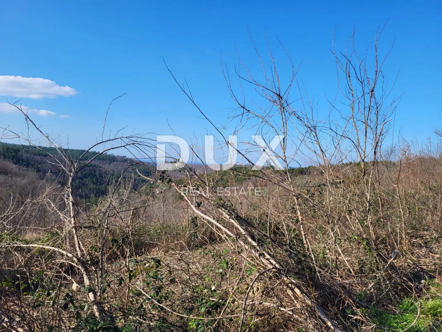 istra, grožnjan - neometan pogled na more! građevinsko zemljište s projektom - slika 8