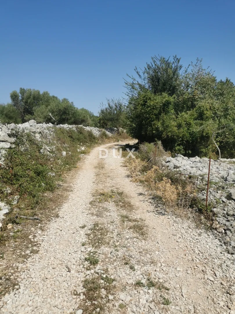 otok krk, grad krk - poljoprivredno zemljište - slika 3