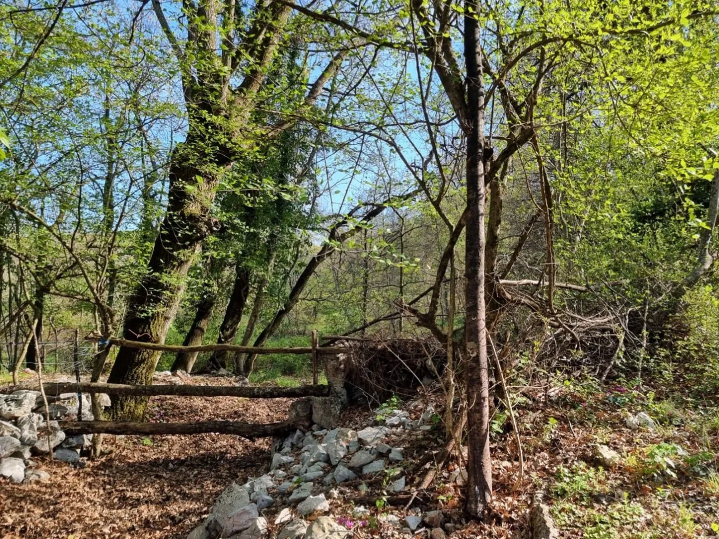 istra, rabac - prostrano imanje na očaravajućoj lokaciji - slika 25