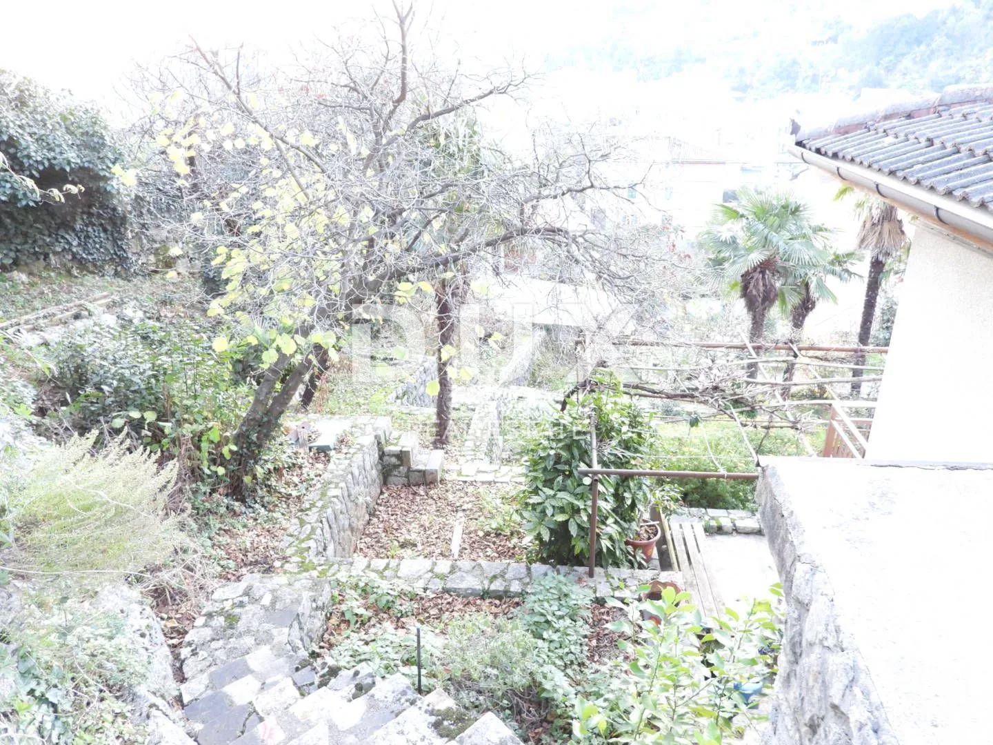 opatija, ika - kuća 139m2 2.red do mora + okućnica 939m2 - slika 14