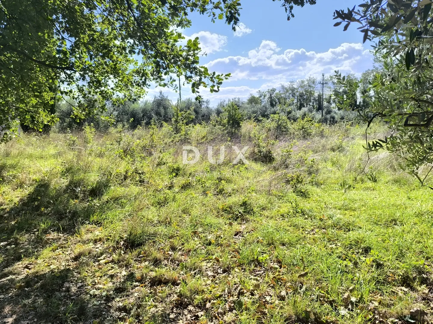 istra, pula - građevinsko zemljište + maslinik 5800 m2 - slika 3
