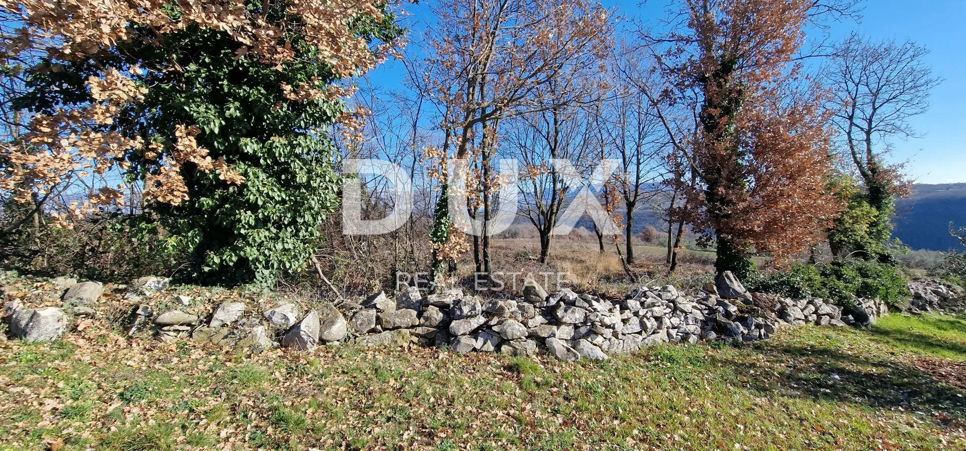istra, pićan - građevinsko zemljište, maslinik, vinograd, oranica, potpuna osama i fantastičan pogled - slika 71