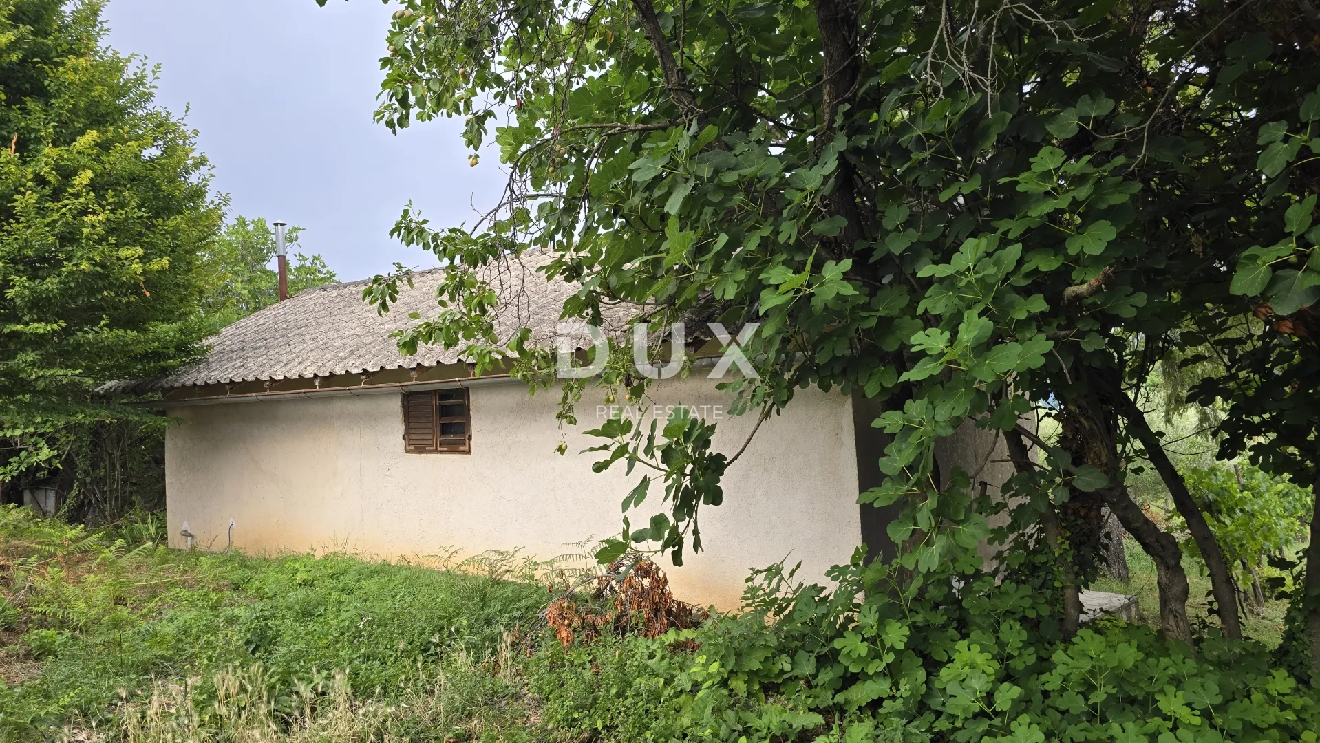 istra, labin – kućica u prirodi, potpuna osama s velikom okućnicom - slika 22