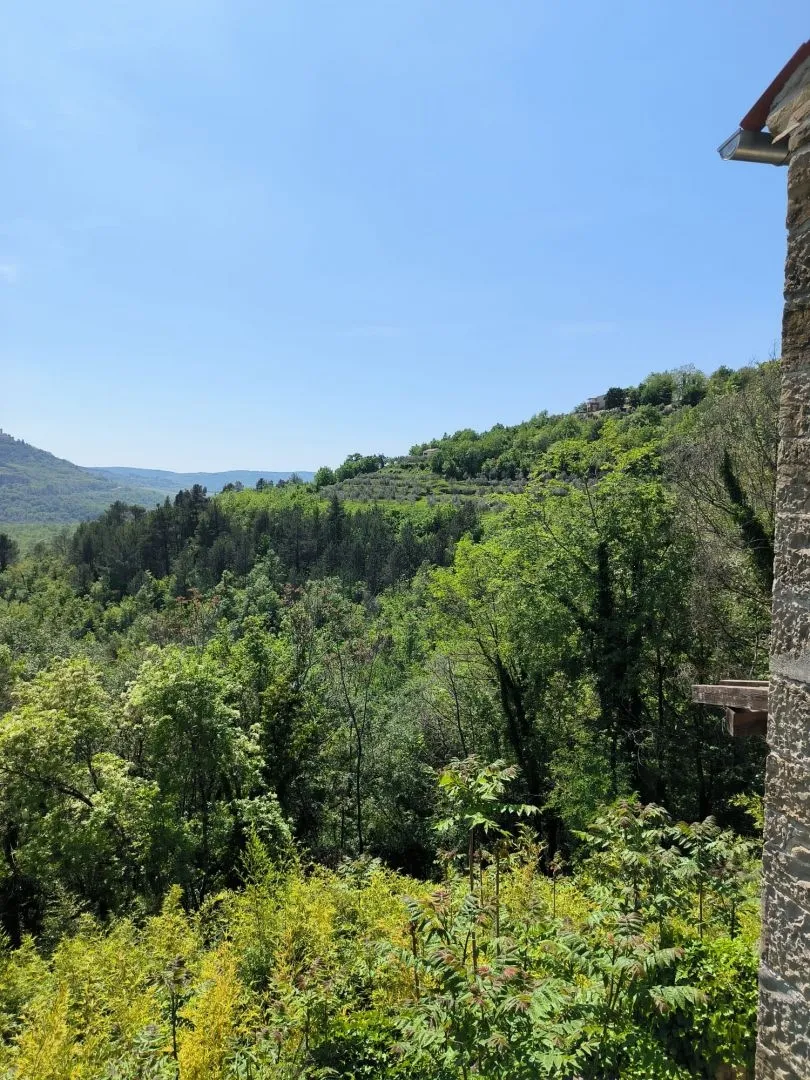 istra, motovun - kamena bajka u prirodi! rijetkost! - slika 83