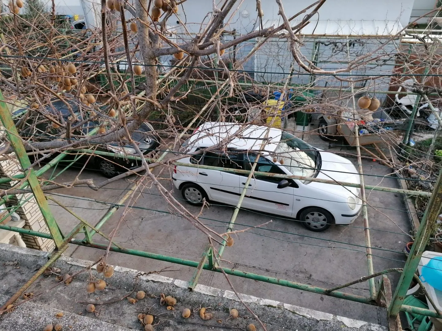 istra,fažana- obiteljska kuća 150m od mora! - slika 11