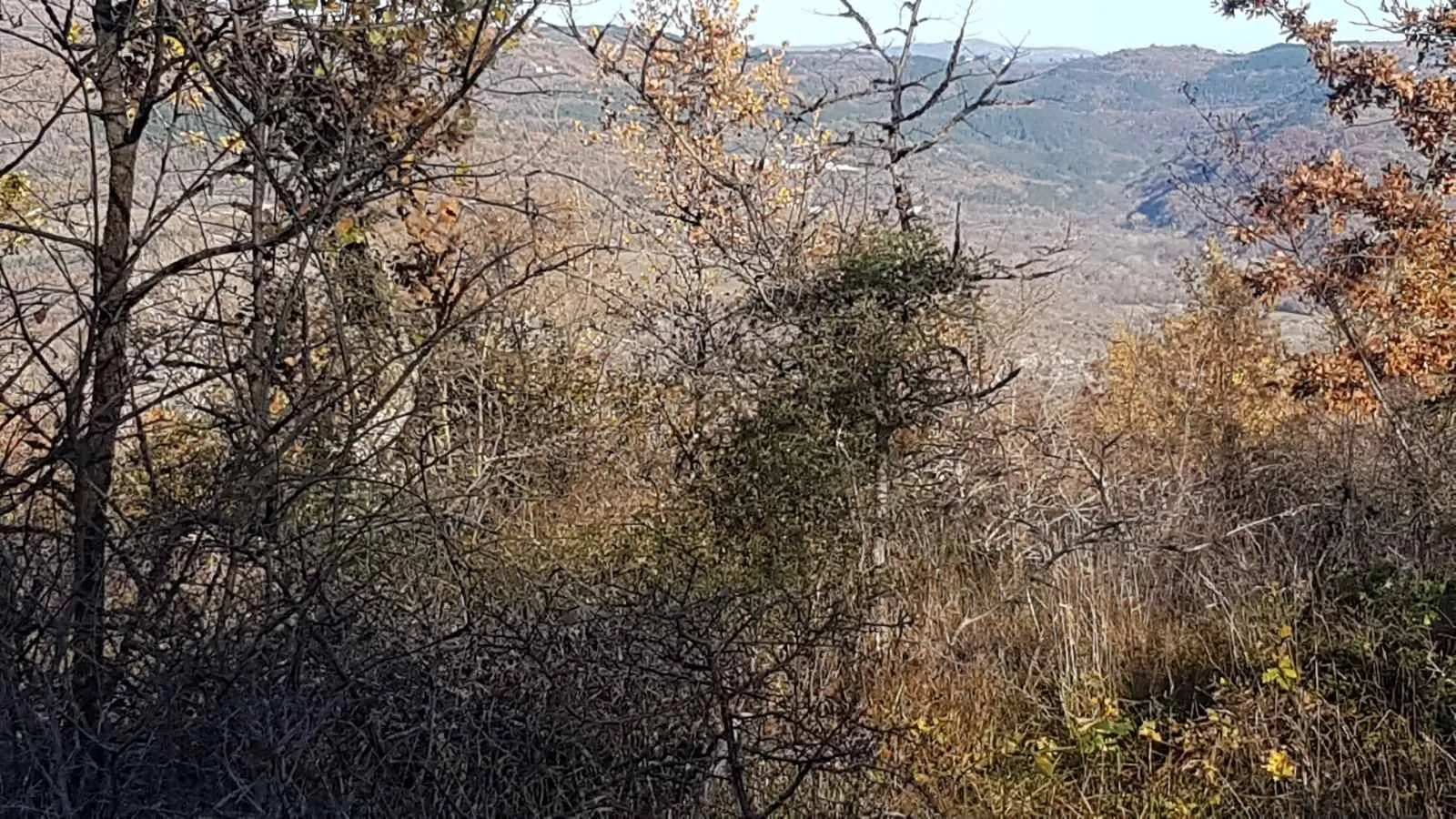 istra, vižinada - prostrano građevinsko zemljište na osami s panoramskim pogledom - slika 27