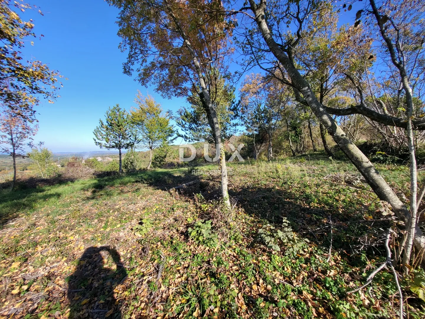 istra, grožnjan - građevinsko zemljište s otvorenim pogledom na more i okolicu - slika 9