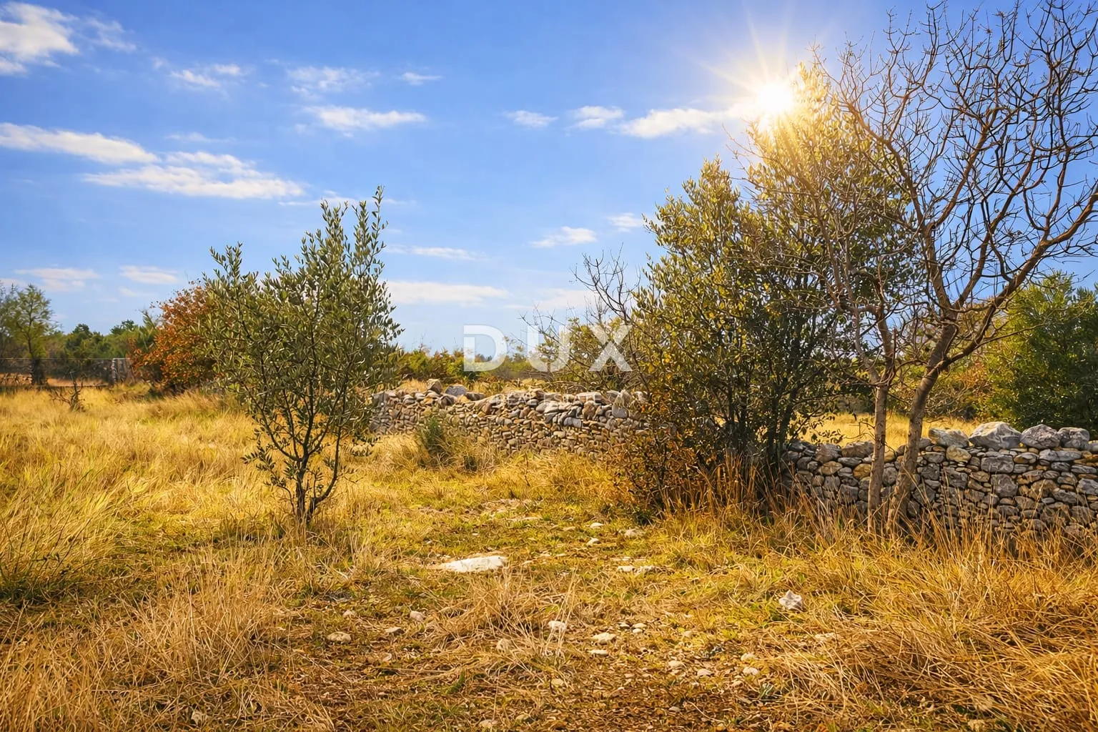 istra, vodnjan – poljoprivredno zemljište - slika 2