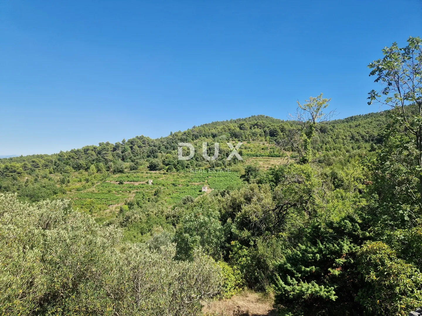 pelješac, popova luka, poljoprivredno zemljište 190.000m² - slika 13