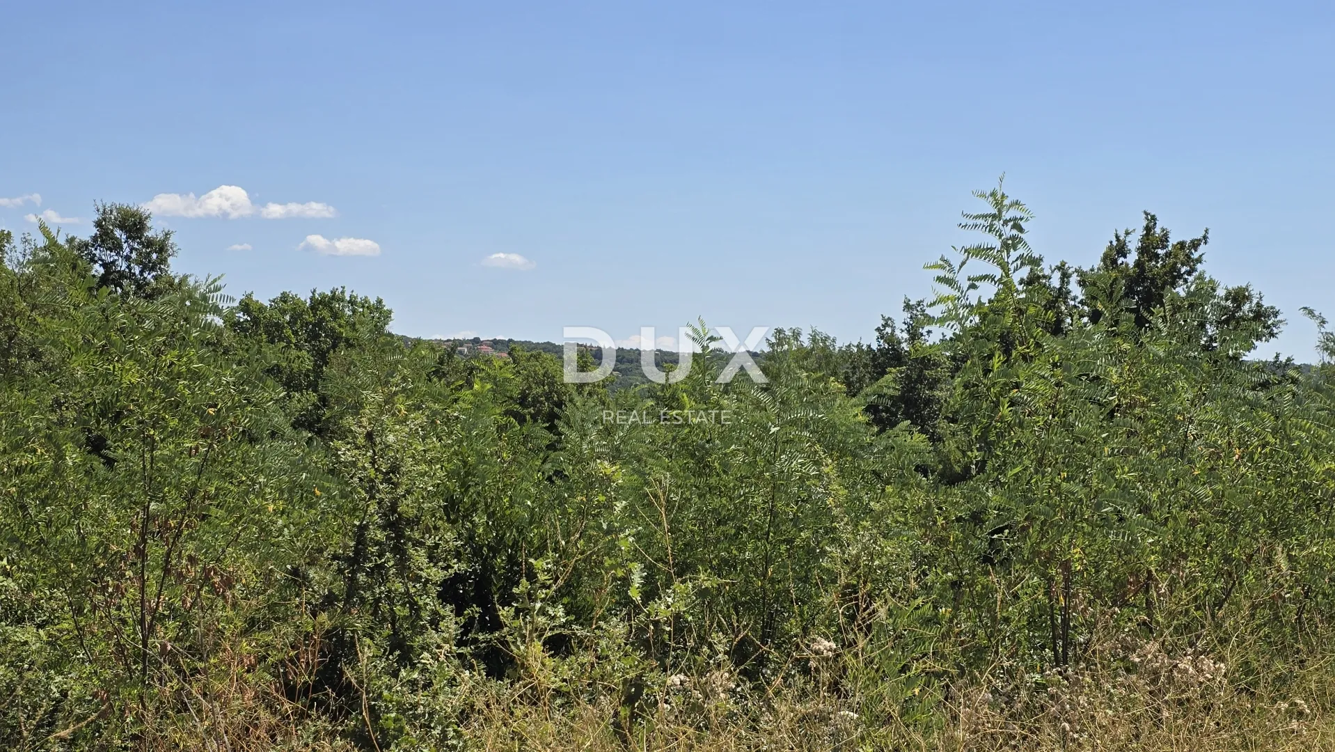 istra, labin - veliko građevinsko zemljište s otvorenim pogledom - slika 6